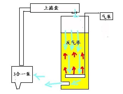 水妖精的工作原理diy自制水妖精鱼缸小型反气举过滤系统过滤器