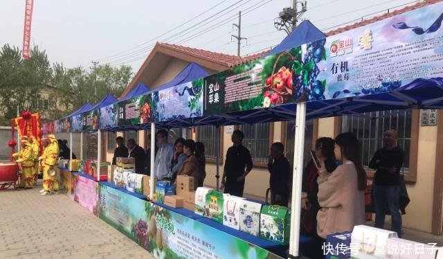 国家地理标志证明商标宝山蓝莓发布 青岛西海