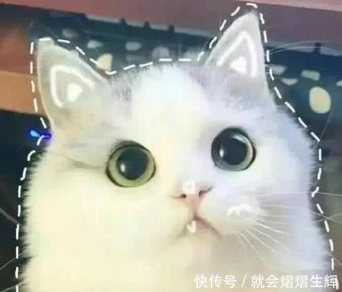 男友最萌招架撒娇图片:表情撒娇毫无之力,绝女生包受宠若惊微表情信图片