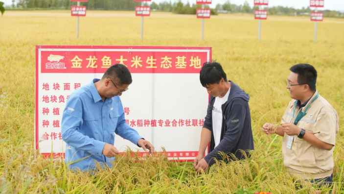 廣州最大的寵物貓市場(chǎng)在哪里，廣州哪里有寵物市場(chǎng)在哪里 黃鰭鯧魚