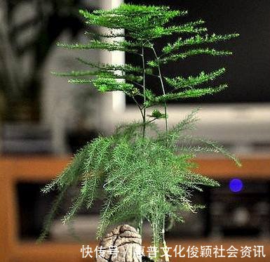 t019c15935b6d6fe30f.jpg
