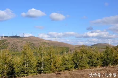 “小葱带你吃天下”——丰宁:寻味满族味道!