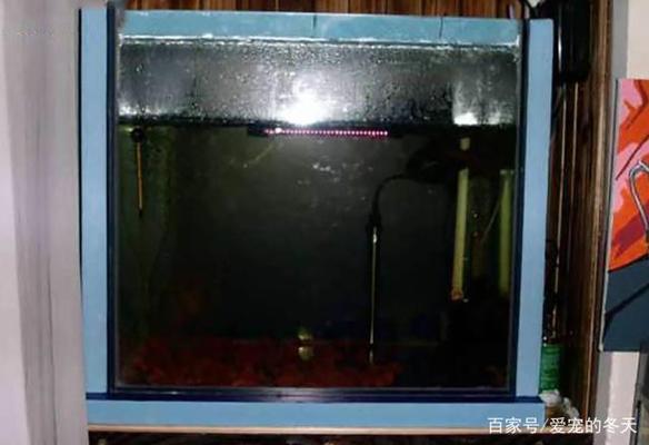 長(zhǎng)興雉城凌氏水族館（長(zhǎng)興雉城凌氏水族館地址）