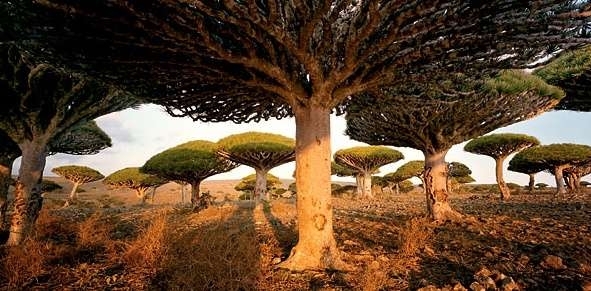 世界上令人震撼的五大最神秘之处:百分之99的