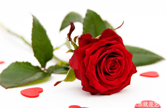 父母做主让大姐嫁人,只为20万彩礼留着给我结