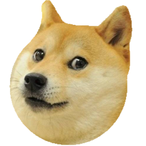 doge bounce!