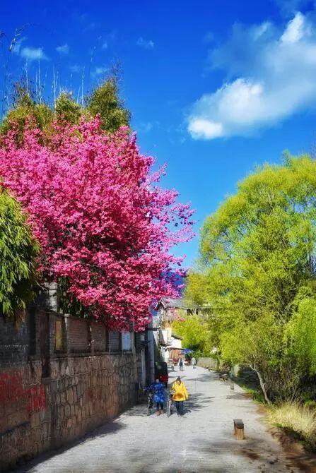 嗨,那个赶路人,这里是丽江