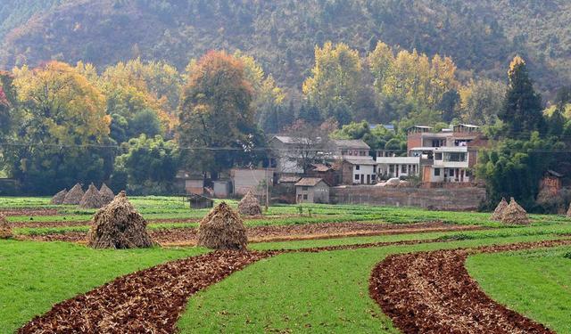 云南省面积最大的三个县级市
