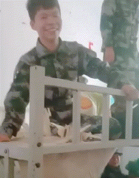 搞笑gif: 这一口鼠粮猝不及防 - 360娱乐,你开心就好