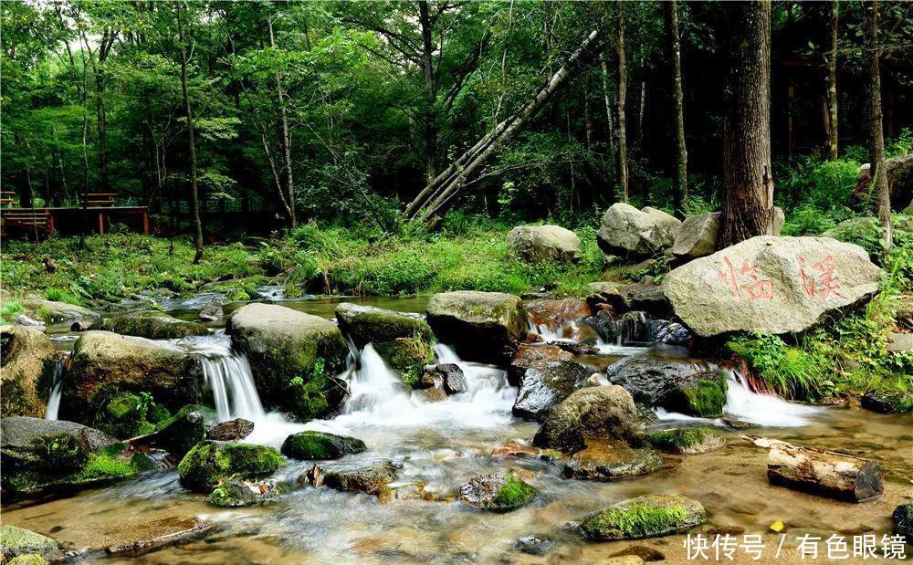 尚志市属于哪个市