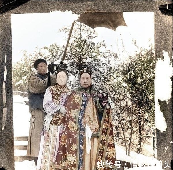 最高学历怎么填