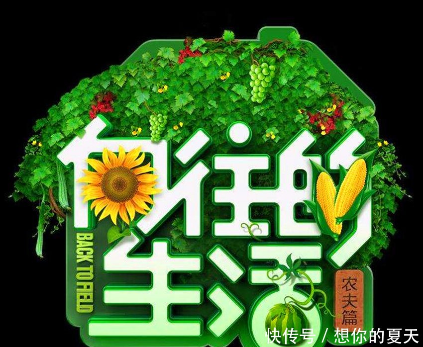 张子枫加盟《向往的生活》第三季,将与彭昱畅