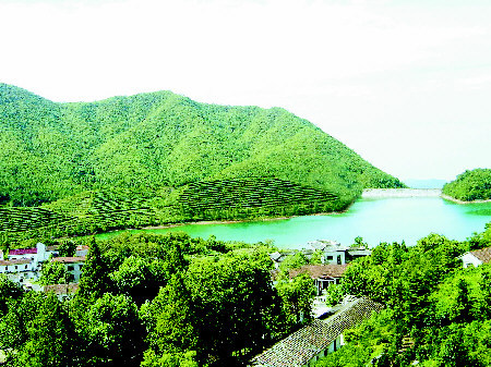 生态环境 江苏溧阳县社渚农场是前峰雪莲的诞生地,它位于天目山余脉