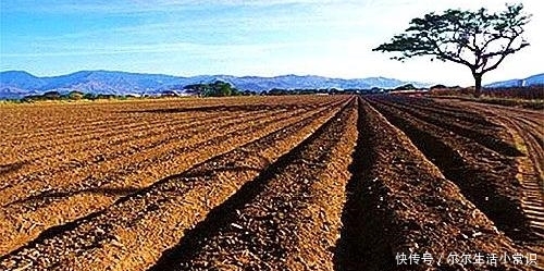 土地承包合同怎么写