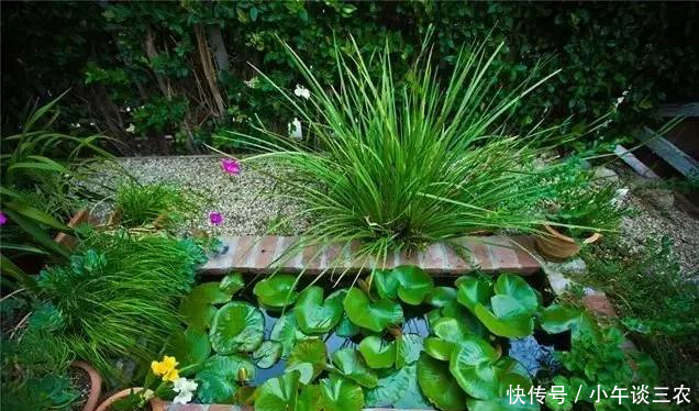 厉害了word哥,乡村小别墅居然可以这么盖!