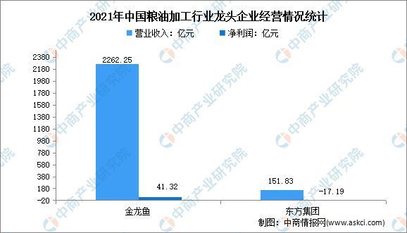 鱷魚屬于什么動物：娃娃魚屬于什么動物