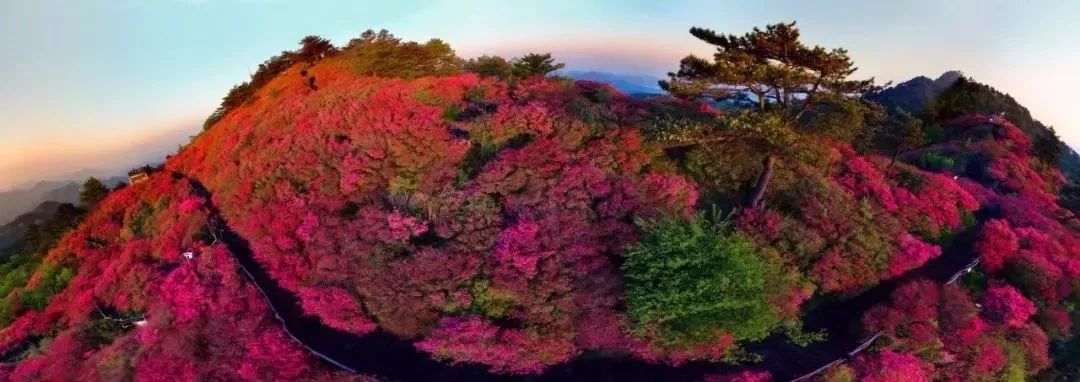 湖北又拿下一个世界级称号!这个地方再也藏不住了!