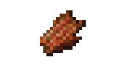 我的世界腐肉怎么净化 我的世界腐肉净化方法