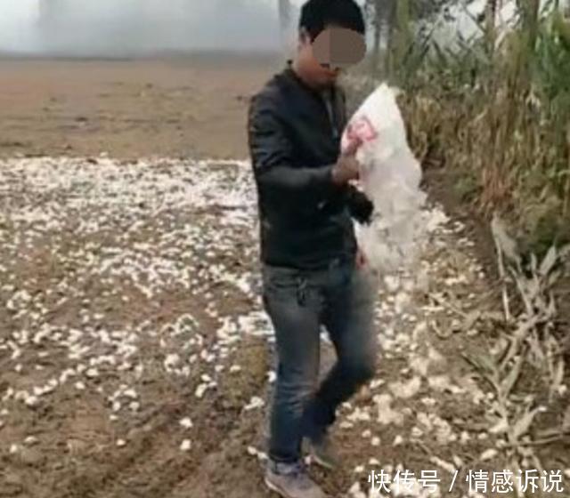 男子把“饺子”撒在地里,遭到村民指责,时隔一个月,村民愣住了