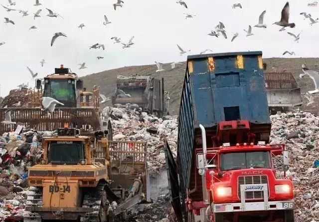 要么运走垃圾,要么开战:菲律宾为什么这么痛恨