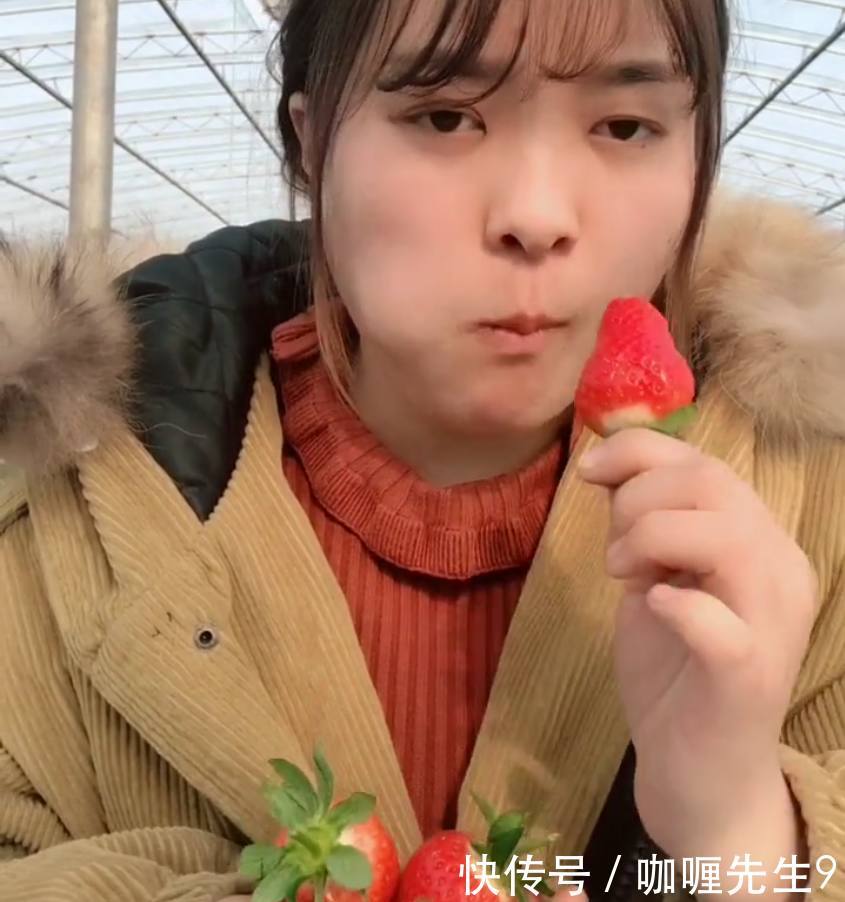 农民种植的草莓,这样销售,碰上这种“吃货”亏的底裤都没得穿