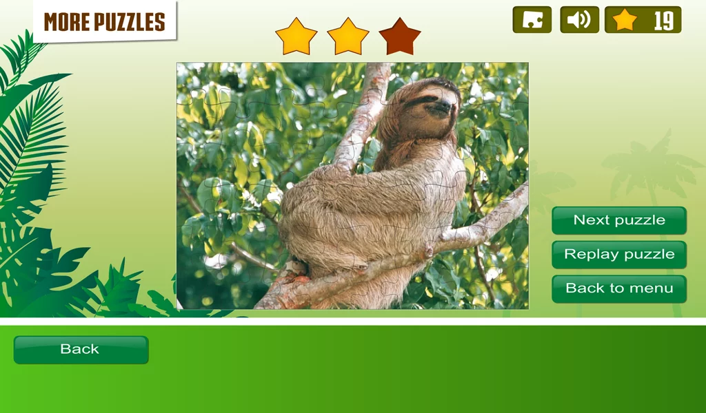 Rainforest Animals Puzzle截图9