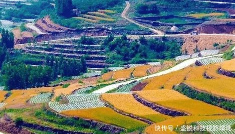 山东省三座二线城市角逐!济南、潍坊、烟台谁