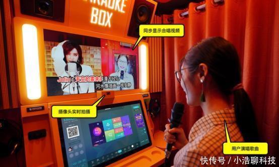 坚果livehouse人均消费_植物大战僵尸坚果