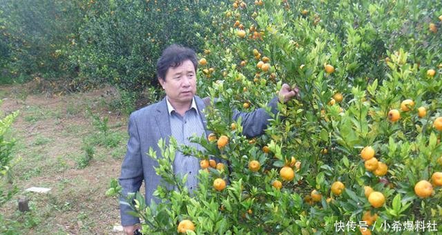柑橘黄龙病研究新突破及老教授成功经验分享