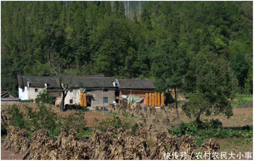 在农村,老人们的乡村俗语透露着大智慧,你知道几句呢?