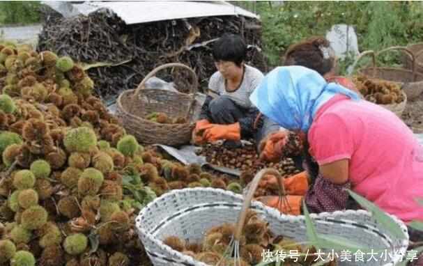 乡下的这种美食：掉满地都没人捡，不料运到城镇却成了抢手货