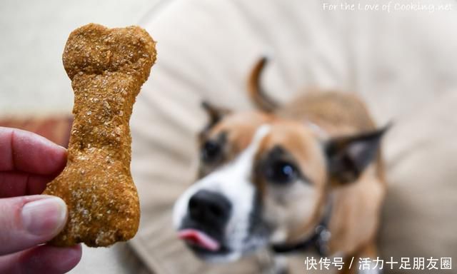 企业信息登记号