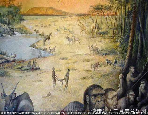 白蚁其实人类早期热衷的食物, 感觉有点反胃了