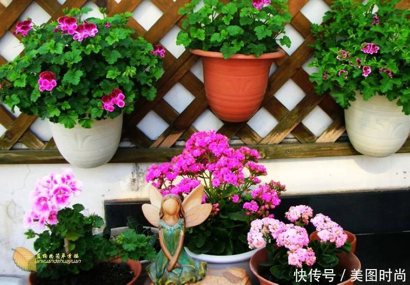 有个“露台花园”折腾，真好！此景此情,喝茶,看书 太惬意啦!