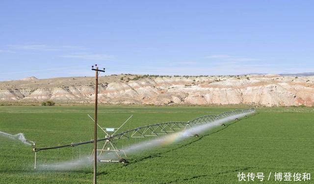 破坏环境的事例