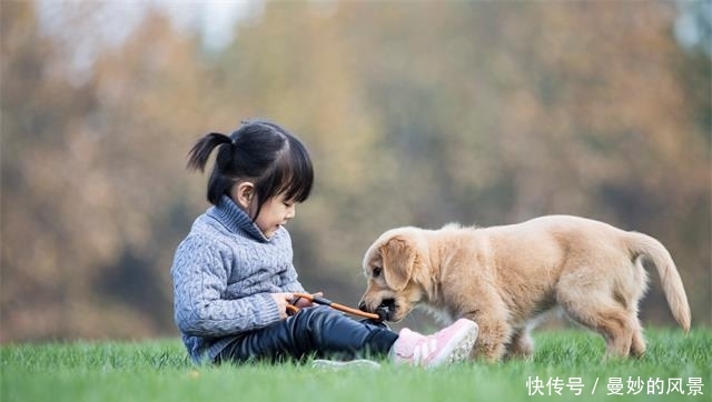 t01aabdb398bb0141e2.jpg