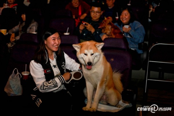 50只汪星人齐聚西安一影院 人宠同看电影很有爱(组图)