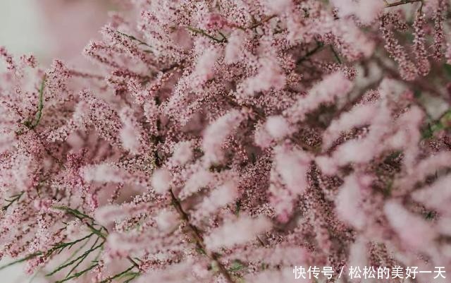 t01ab4206ae3310e66f.jpg?size=640x401