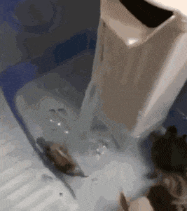 不听不听,王八念经.你说什么我都不听