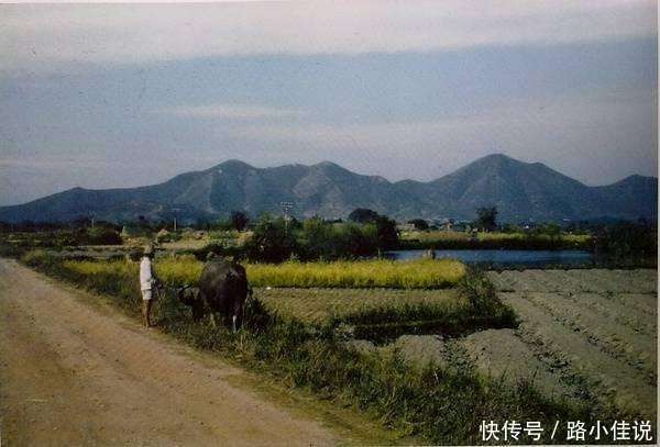 一组由飞虎队员拍摄于1945年、记录中国部分农村风物人情的老照片