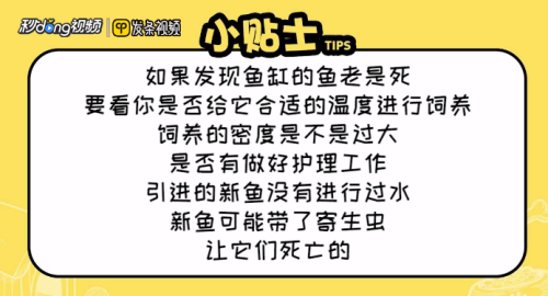 松原58同城二手鱼缸转让信息网（松原58同城二手鱼缸转让信息网最新）