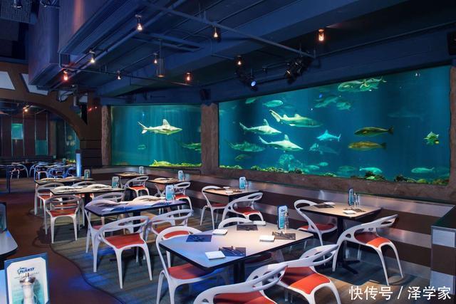 世界上10家风景和味道独特的水下餐厅，中国一处上榜