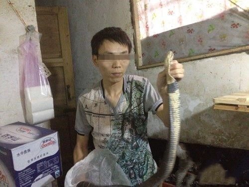 男子将蛇砍成两半后，刚过30分钟，男子回头一看一幕泪流不止