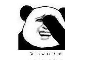 2019年支出账单图片