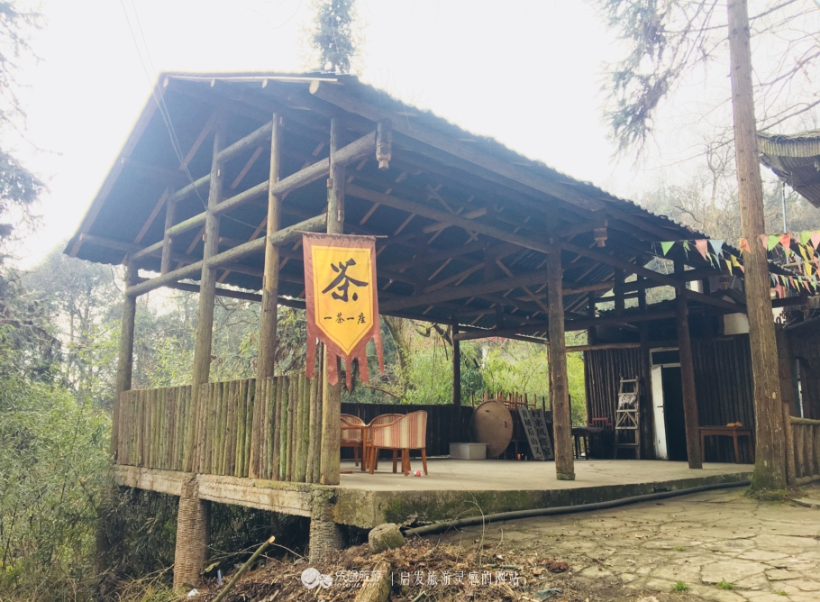 青城后山，没进都江堰的都江堰之旅