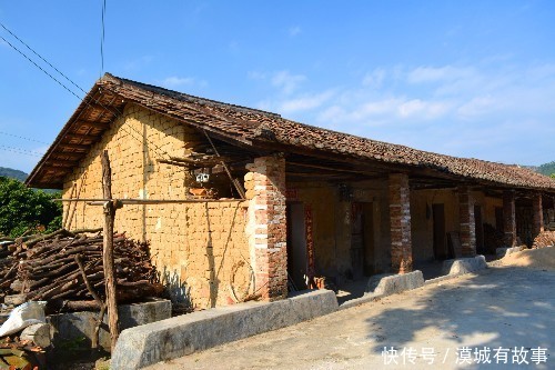 过年婆婆住院，我去送饺子，回来之后我怒提离婚