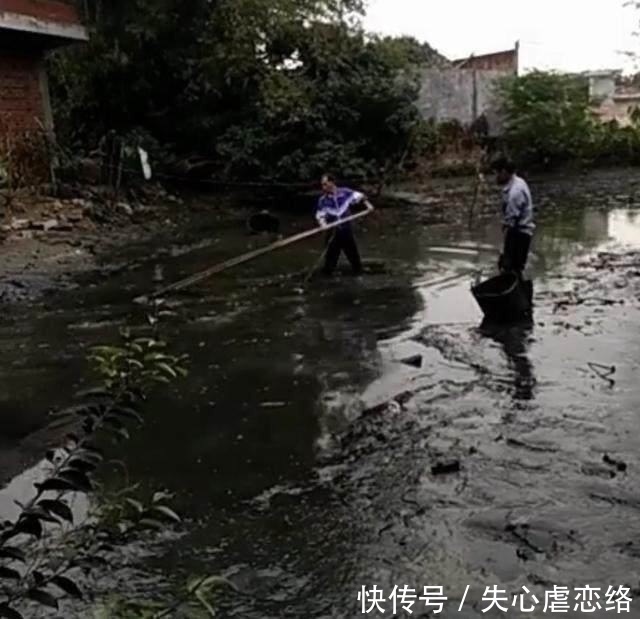 水沟突然冒出上万条鲜活大鱼,但让人傻眼诧异的却是大家只看不捉