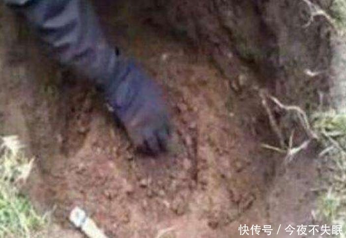 女子破解父亲遗言,半夜深挖院子,挖出的东西让女子大惊失色