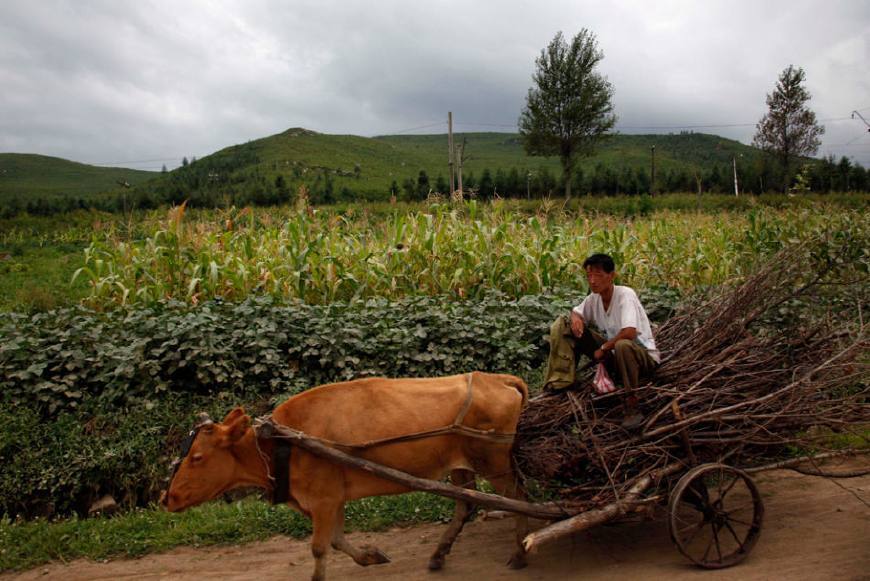 揭秘:朝鲜人眼中的中国是怎样的?听到他们的提