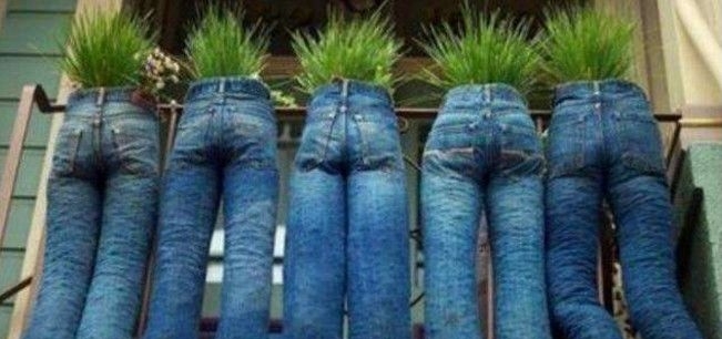美国女子用废弃牛仔裤种花,邻居见到之后,悄悄